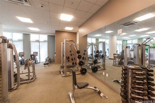 gym featuring a paneled ceiling and light colored carpet