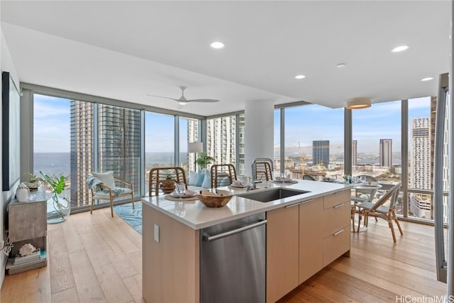 kitchen with plenty of natural light, sink, light wood-type flooring, and a kitchen island with sink