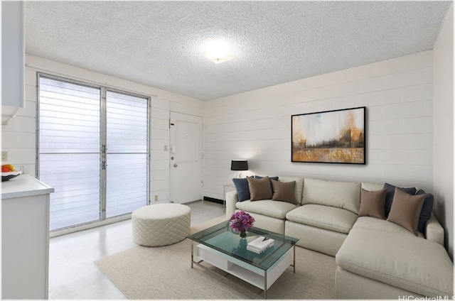 living room featuring a textured ceiling