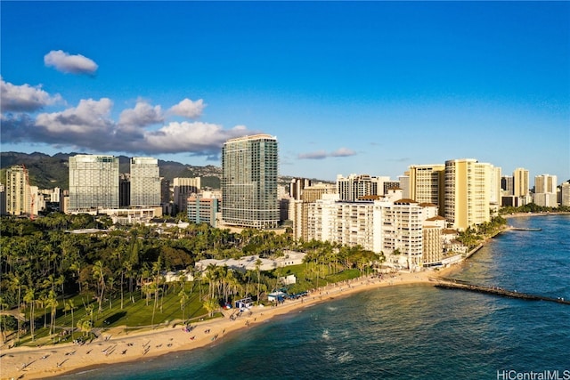 city view with a water view and a beach view