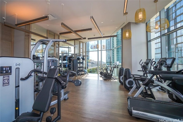 workout area featuring hardwood / wood-style floors and floor to ceiling windows