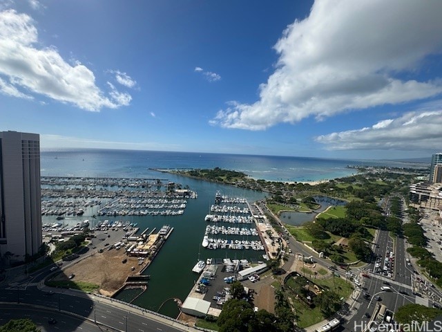 aerial view with a water view