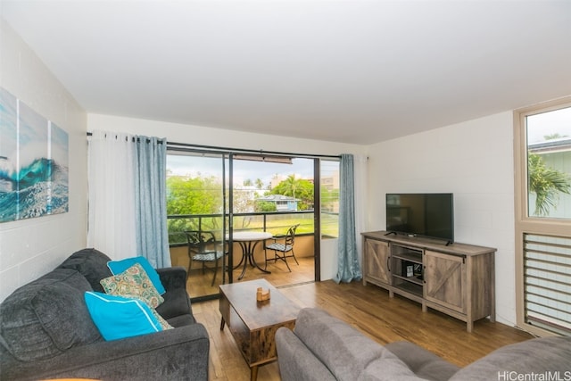 68-024 Apuhihi St Unit W301, Waialua, HI 96791 - living room featuring wood-type flooring and plenty of natural light