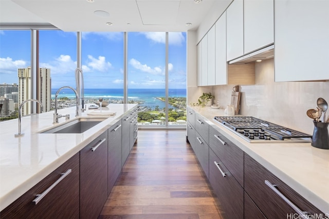 kitchen featuring sink, dark hardwood / wood-style flooring, white cabinetry, a water view, and decorative backsplash