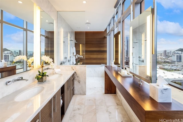 bathroom with vanity, a shower, and a wealth of natural light