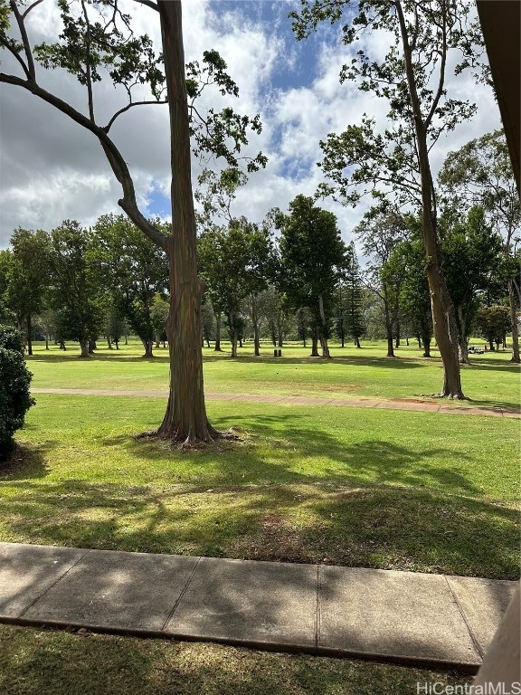 view of community with a yard