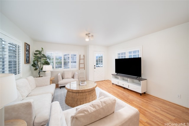 living room featuring wood-type flooring