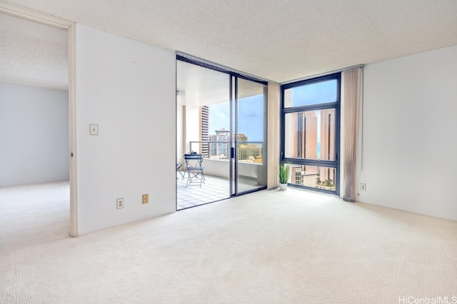 carpeted empty room with a textured ceiling and a wall of windows