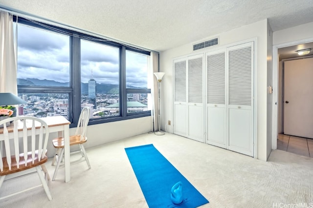 unfurnished bedroom with a textured ceiling, a closet, carpet, and a mountain view