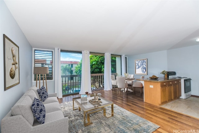 living room with light hardwood / wood-style floors