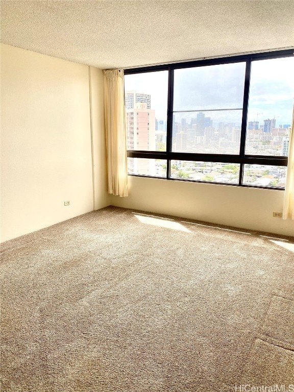 spare room with carpet flooring and a textured ceiling