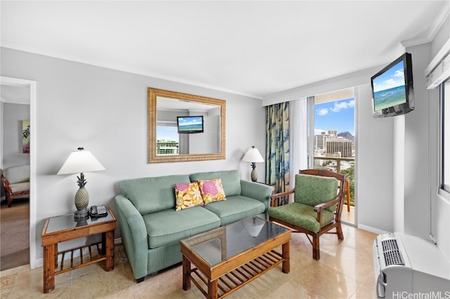 living room featuring ornamental molding