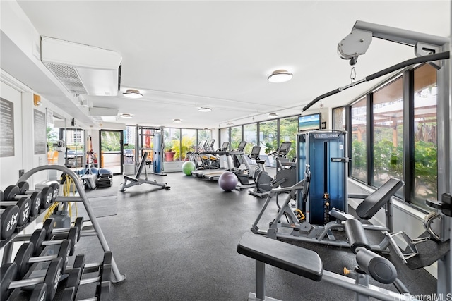 exercise room with a healthy amount of sunlight