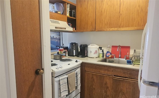 kitchen with white appliances, ventilation hood, light countertops, and a sink