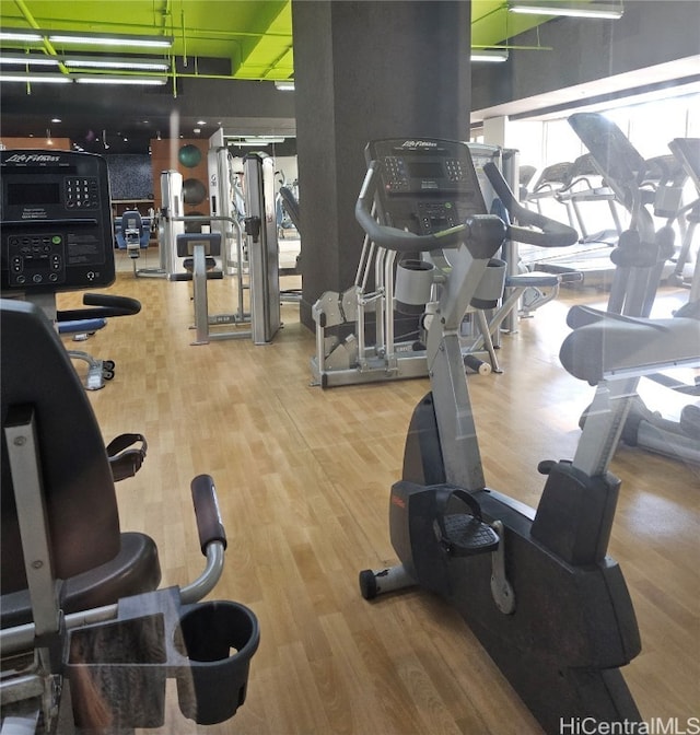 exercise room featuring wood-type flooring