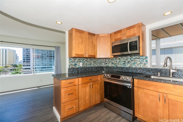 kitchen featuring tasteful backsplash, dark stone counters, dark hardwood / wood-style floors, sink, and stainless steel appliances