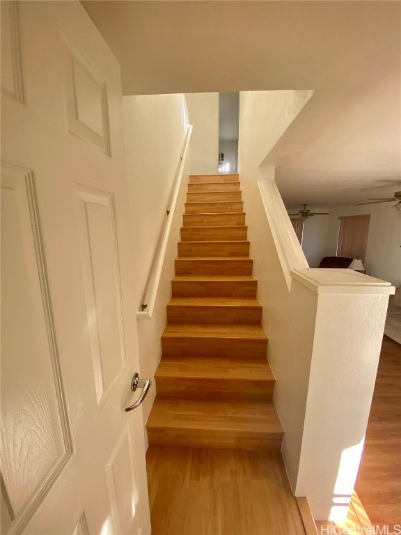 stairway with wood-type flooring and ceiling fan