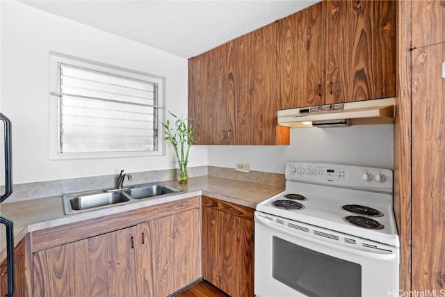 kitchen featuring a textured ceiling, white electric stove, sink, and hardwood / wood-style floors