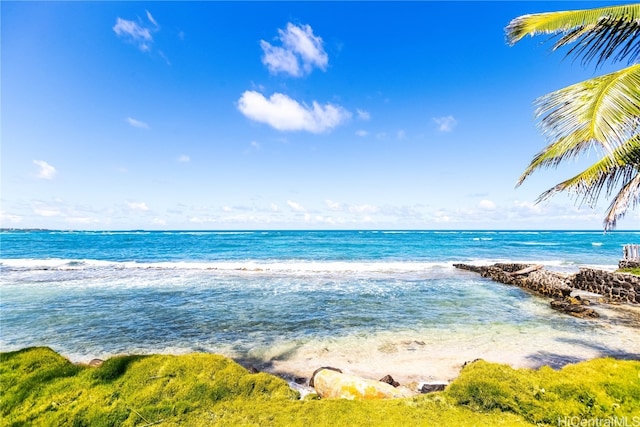 view of water feature featuring a beach view