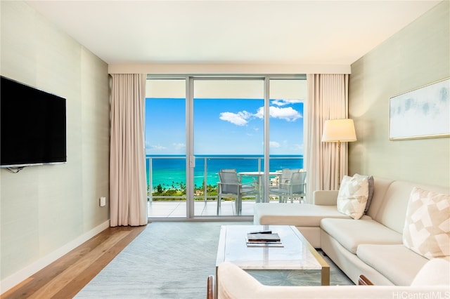 living room featuring hardwood / wood-style floors and a water view