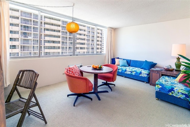 rec room featuring a textured ceiling and carpet floors