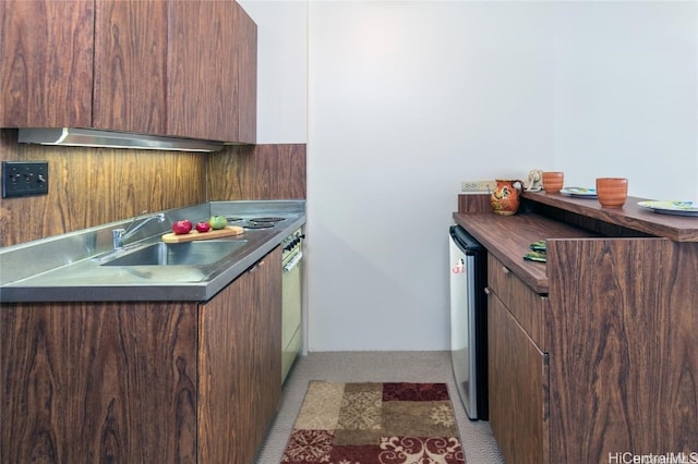 kitchen featuring ventilation hood and sink