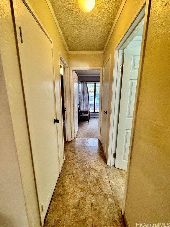 hall with crown molding and a textured ceiling