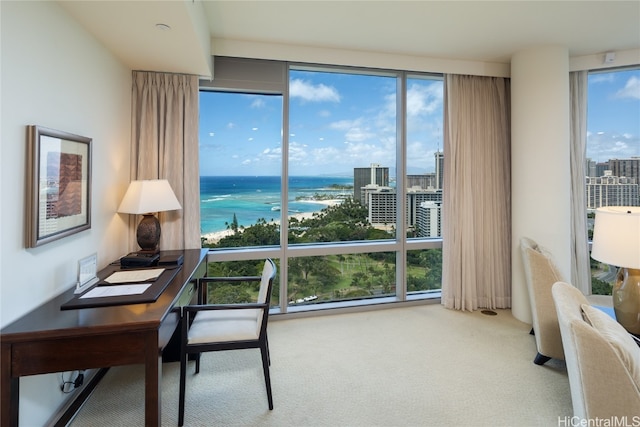 office area with a water view, a healthy amount of sunlight, and carpet floors