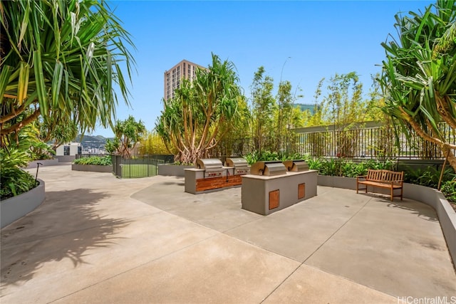 view of patio featuring grilling area and exterior kitchen