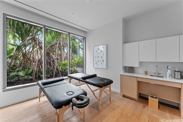 interior space with light hardwood / wood-style floors and sink