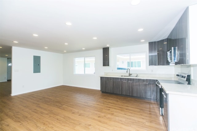 kitchen featuring light hardwood / wood-style flooring, sink, dark brown cabinetry, electric panel, and stainless steel electric range oven