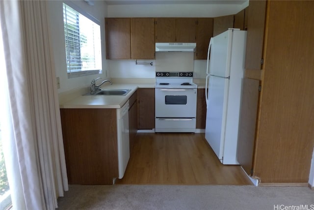 kitchen featuring sink, light hardwood / wood-style floors, and white appliances