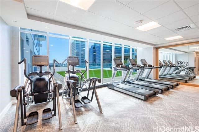 workout area featuring a paneled ceiling and carpet