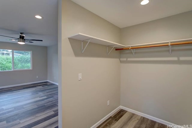 spacious closet featuring wood-type flooring and ceiling fan