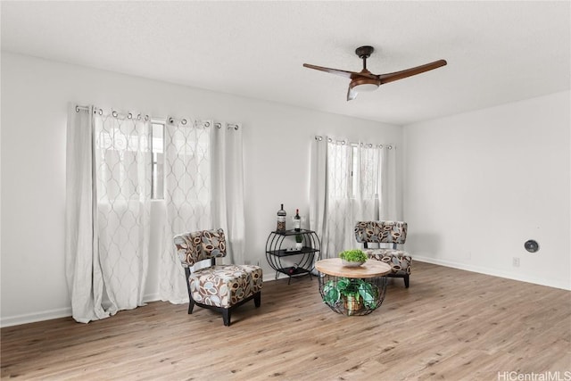 sitting room featuring light hardwood / wood-style floors and ceiling fan