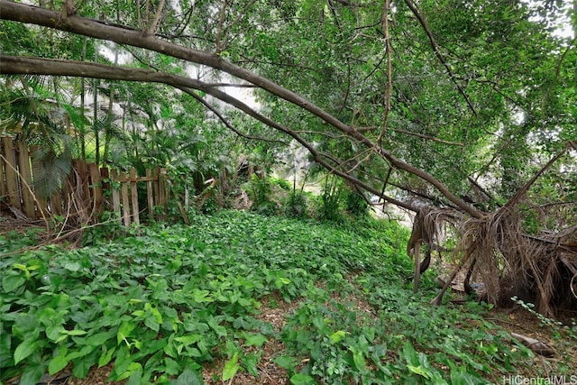 view of local wilderness