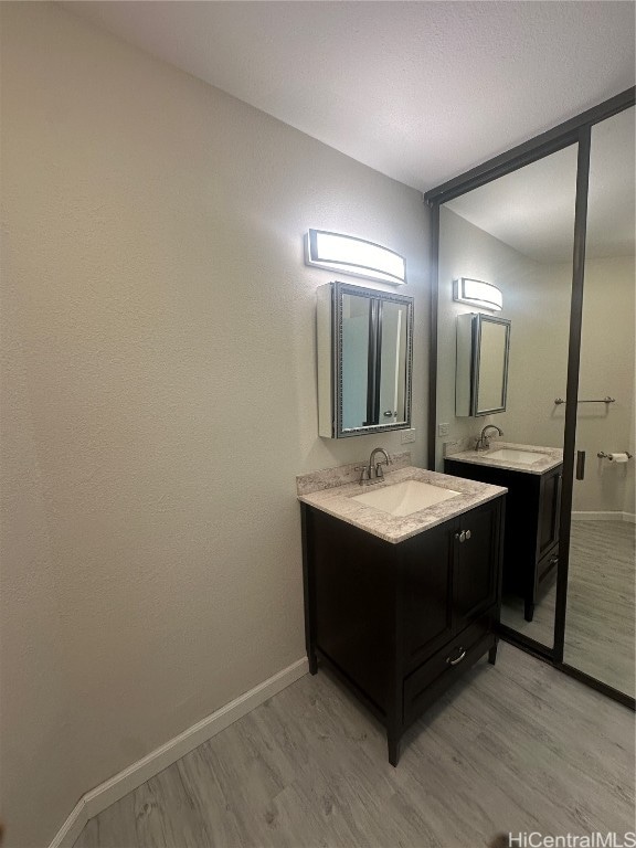 bathroom with vanity and hardwood / wood-style flooring