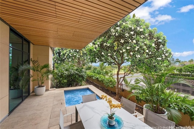 view of pool with a patio