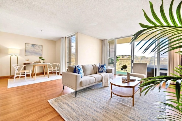 living room featuring light hardwood / wood-style floors and a textured ceiling