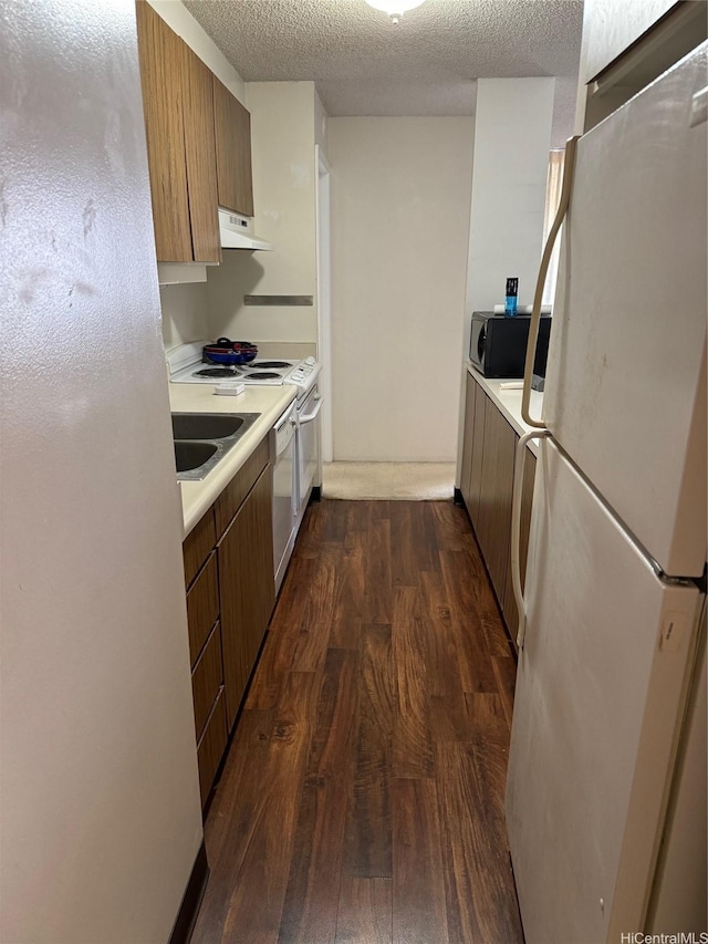 kitchen with dark wood finished floors, under cabinet range hood, light countertops, white appliances, and a textured ceiling
