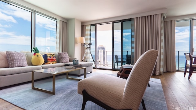 living room featuring floor to ceiling windows, a wealth of natural light, and hardwood / wood-style floors