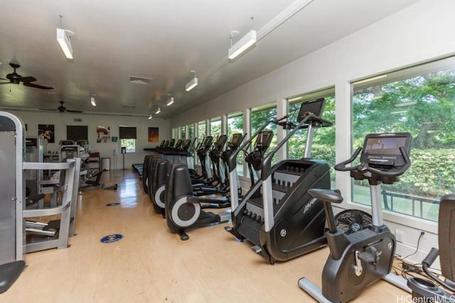 workout area with a wealth of natural light, light hardwood / wood-style flooring, and ceiling fan