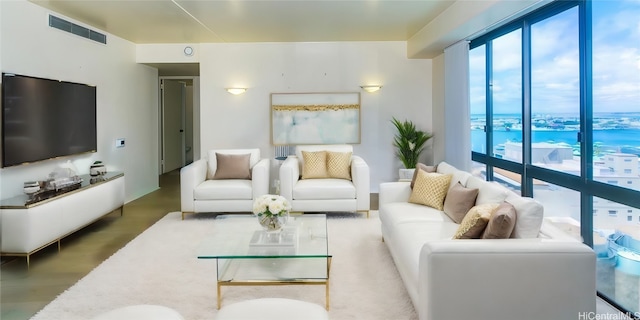 living room featuring hardwood / wood-style flooring