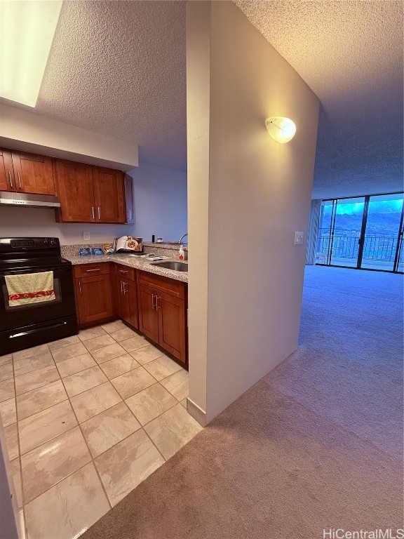 kitchen featuring light carpet, black electric range oven, a textured ceiling, and sink