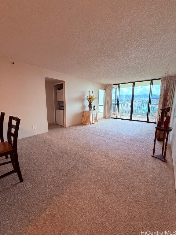 interior space with expansive windows, a textured ceiling, and carpet flooring