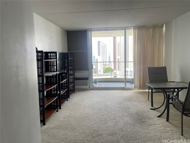 interior space with carpet and a textured ceiling