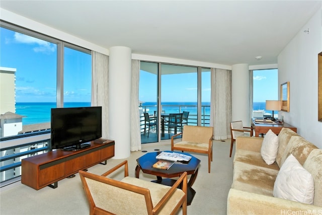 carpeted living room with a healthy amount of sunlight