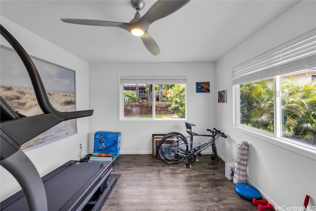 exercise room featuring dark hardwood / wood-style floors, plenty of natural light, and ceiling fan