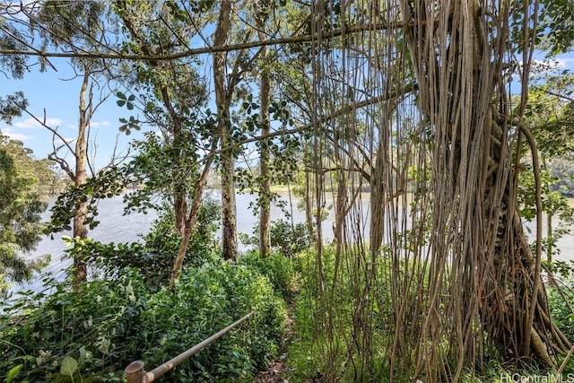 view of local wilderness with a water view