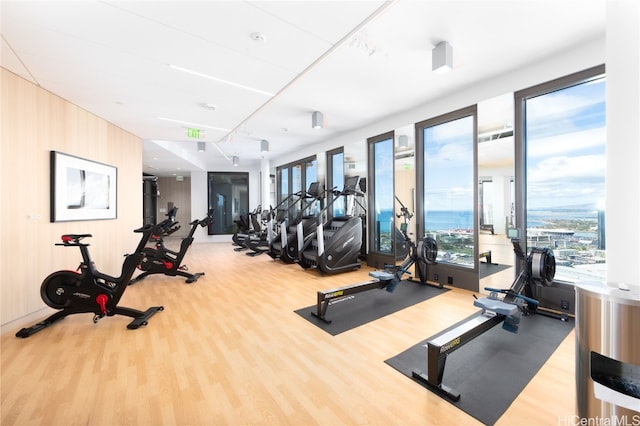 exercise room with hardwood / wood-style flooring and wooden walls